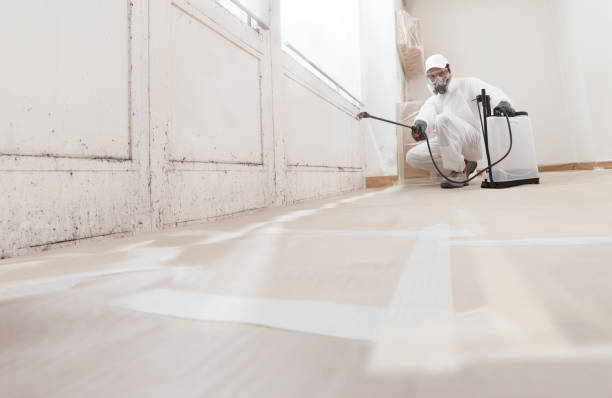 24/7 Emergency Commercial Mold Remediation experts in Fort Eustis, VA