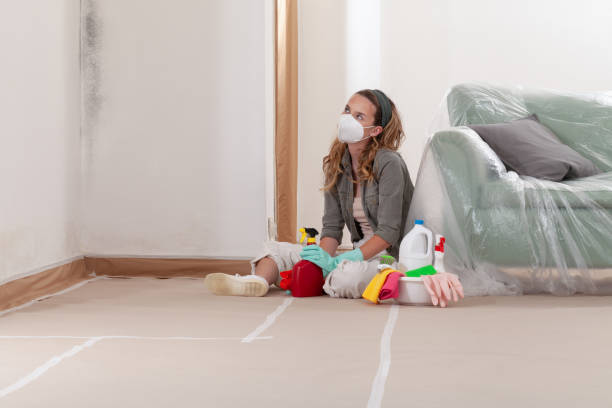 Reliable Commercial Mold Remediation contractor in Fort Eustis, VA by WQB Mold Removal