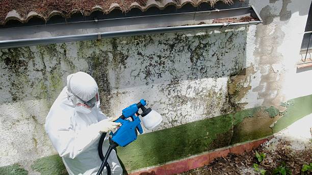 Top rated local Commercial Mold Remediation specialists in Fort Eustis, VA